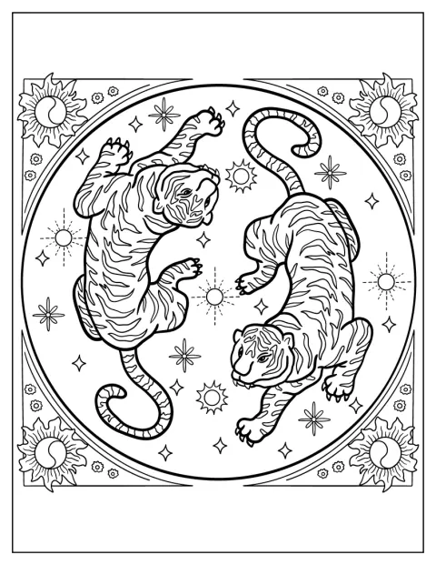 二頭の虎が陰陽の輪をなし、周りに星が散りばめられています。