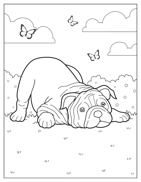 A bulldog játékra hívó pózban, mellső lábait előrenyújtva áll.