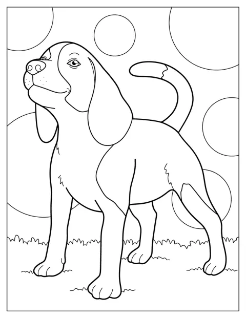 Een beaglepuppy zit buiten op een stukje gras.