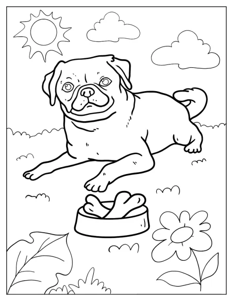Un carlino felice si riposa al sole.