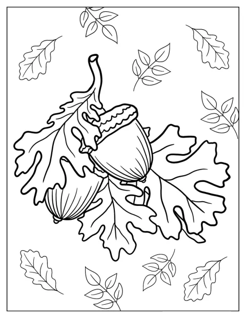 Des feuilles de chêne aux contours simples évoquent l’automne.