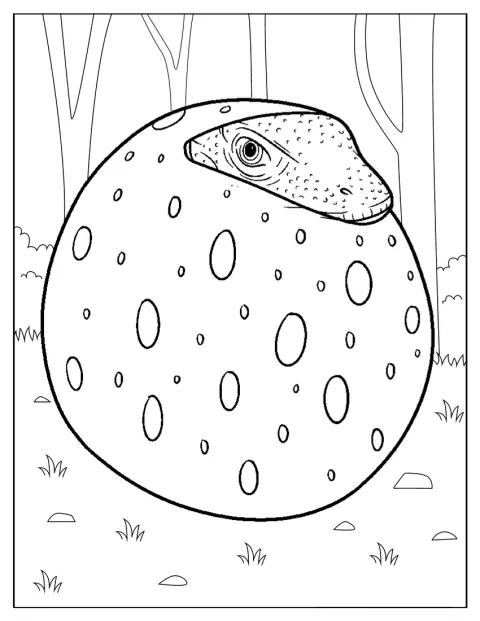 Komodo Dragon Coloring Page Hatching From Egg