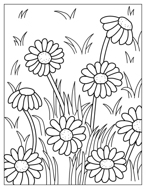 草が広がる野原に、デイジーの花が咲いています。
