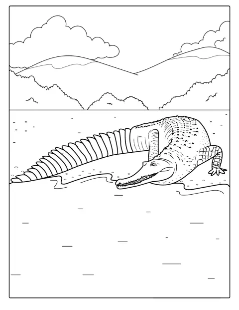 Un crocodile d’eau douce se dirige vers l’eau.