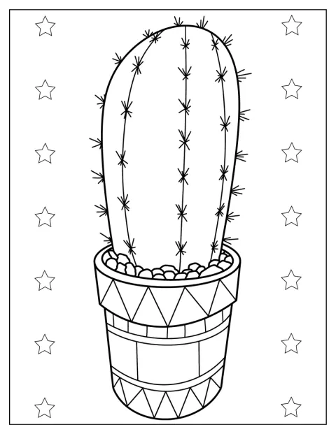 小さなサワロが、南米風の模様をあしらった鉢に植えられています。