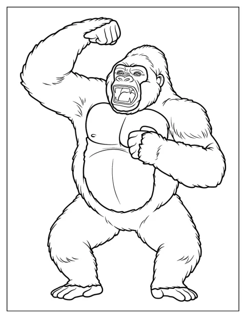Ein kräftiger Gorilla brüllt und hebt dabei beide Fäuste.