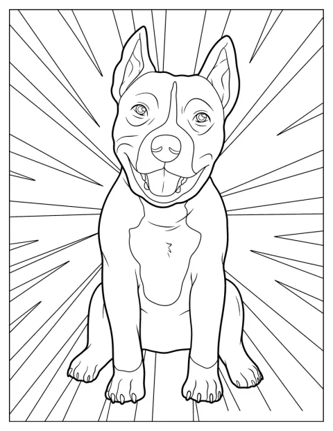 Aufrecht sitzend lächelt ein erwachsener Pitbull freundlich.