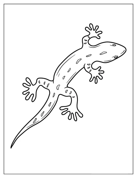 Um lagarto simpático aparece desenhado com formas simples.