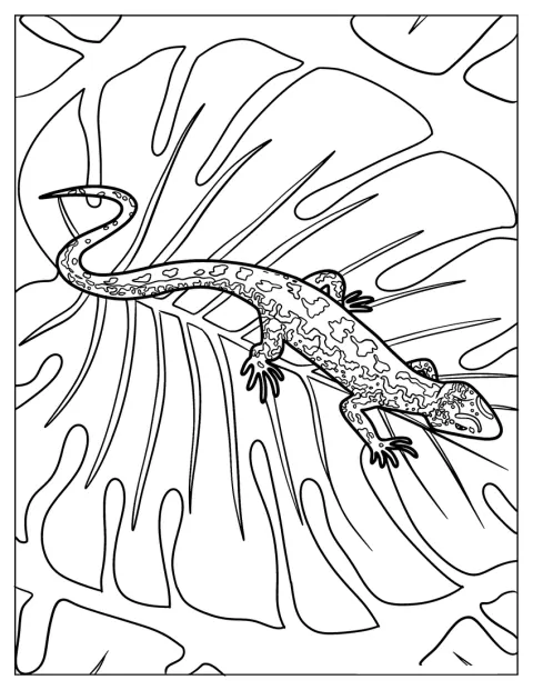 Sand Lizard Coloring Page On Leaf
