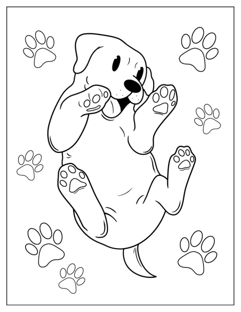 Sur le sol, un chiot se roule sur le dos, les pattes en l’air.