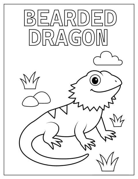 Um dragão-barbudo aparece numa ilustração simples acompanhada por texto.