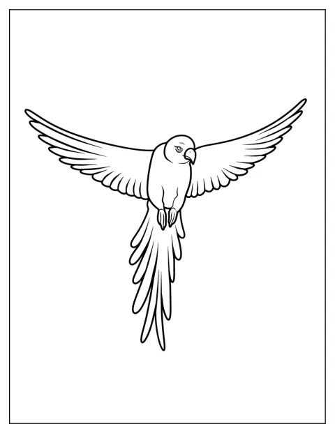 Un loro vuela con las alas extendidas y sin fondo.