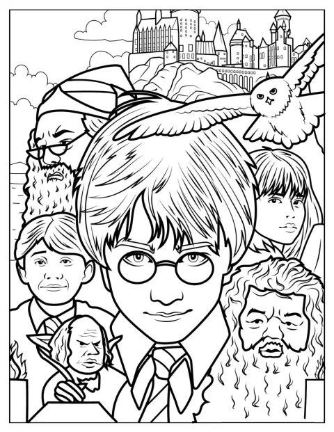 Plakát k příběhu Harry Potter a Kámen mudrců zachycuje hlavní motivy filmu.