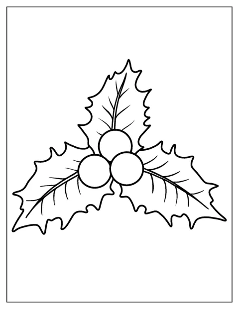 Une branche de gui porte des feuilles et des baies.