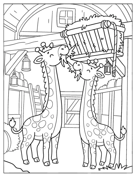 To nuttede giraffer spiser sammen inde i arken.