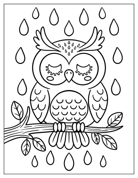 フクロウが目を閉じて枝にとまり、雨が降るのを静かに過ごしています。