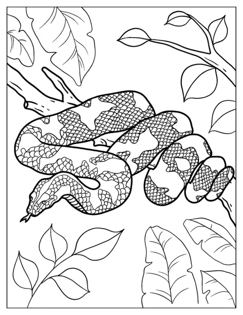 Large Python Hiding In Tree