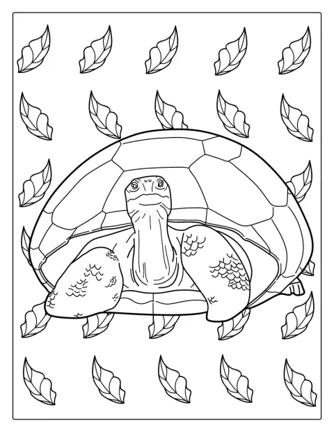 O broască țestoasă stă liniștită, cu carapacea la vedere.