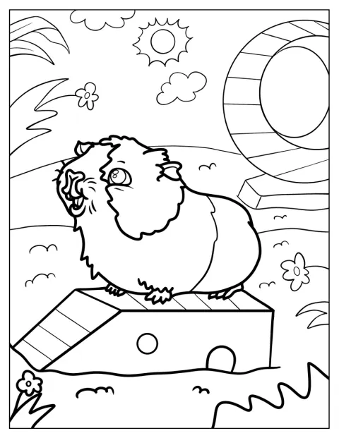 Dans un jardin, un cochon d’Inde souriant profite du plein air.