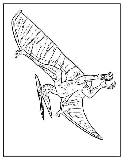 El pterodáctilo extiende sus alas, con la piel y las membranas llenas de detalles.