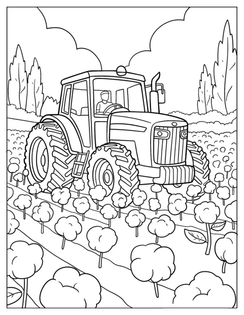 Ein großer Traktor fährt durch die Reihen eines weitläufigen Feldes.