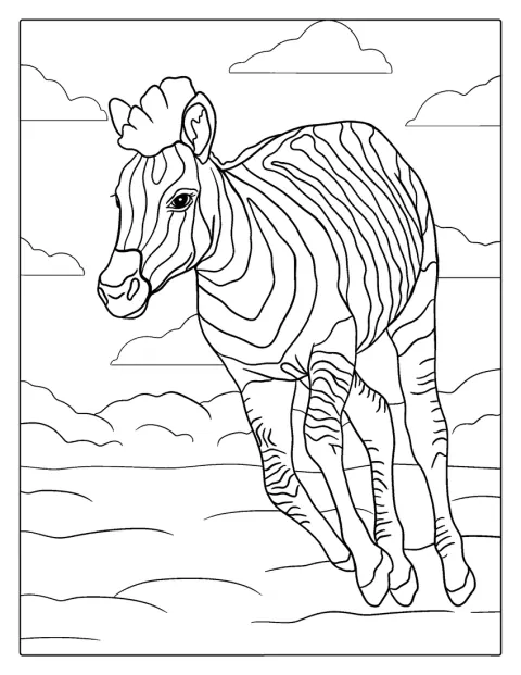 Uma zebra bebé corre com as patas em movimento.