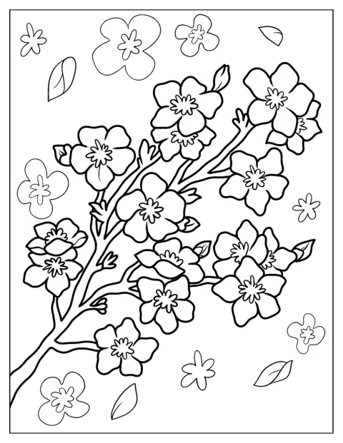 Kirschblüten mit einfachen Konturen wachsen an einem Zweig.