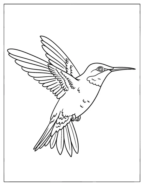 El colibrí se queda suspendido en el aire con las alas abiertas.