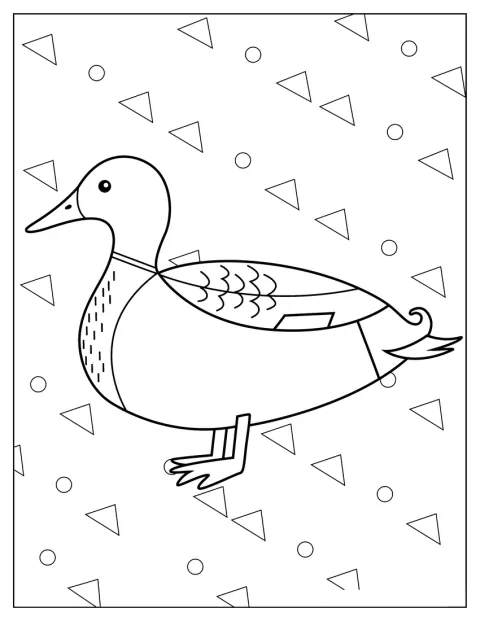 Un pato de perfil aparece dibujado con trazos sencillos.
