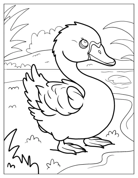 白鳥のひなが池の水面から顔を出しています。
