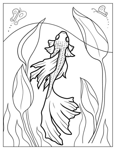 琉金を真上から見た姿が、ひれまで描かれています。