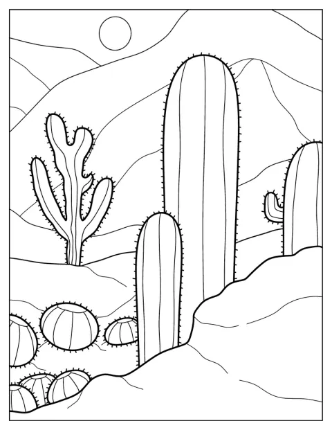 Varios cactus crecen en un paisaje desértico de Arizona.