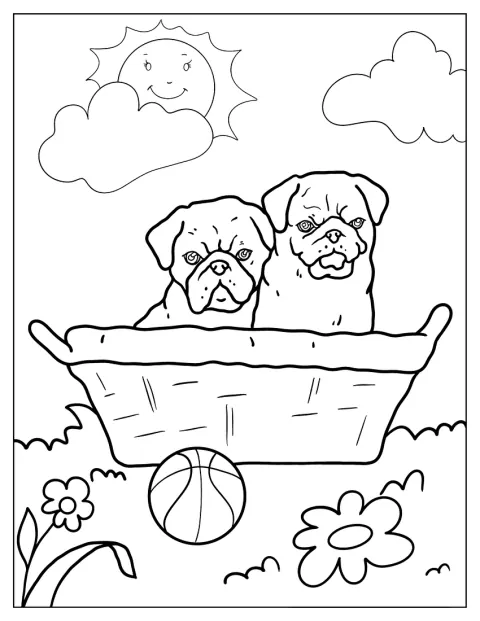Two Cute Pug Puppies To Color