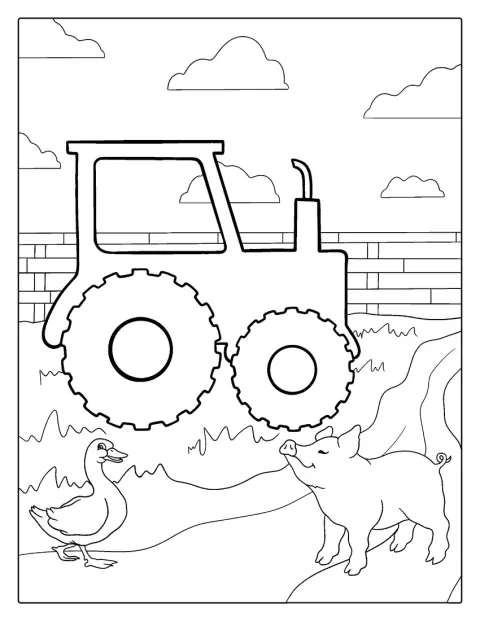 Tractor On Field With Pigs
