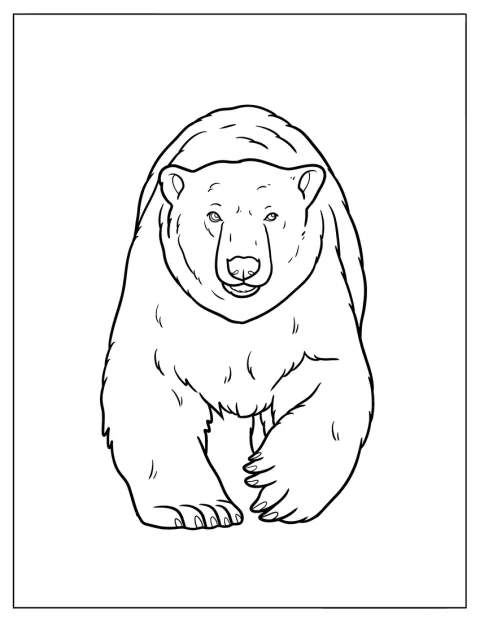 Un ours polaire réaliste regarde droit devant lui.