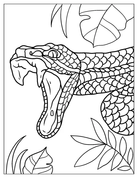 Coloring Page Of Snake Attacking Prey
