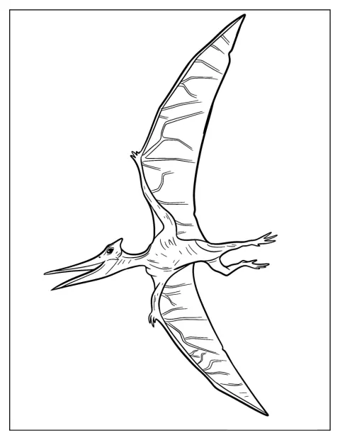 Um pterodáctilo de formas simples está de asas abertas.