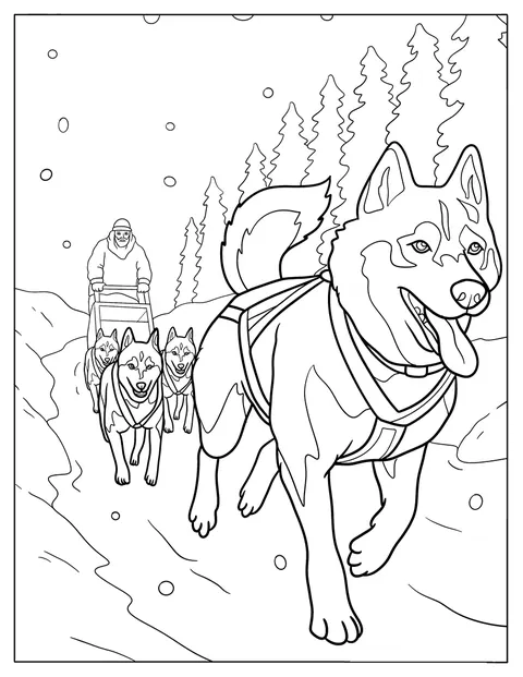 Uma equipa de huskies puxa um trenó através de uma paisagem coberta de neve.