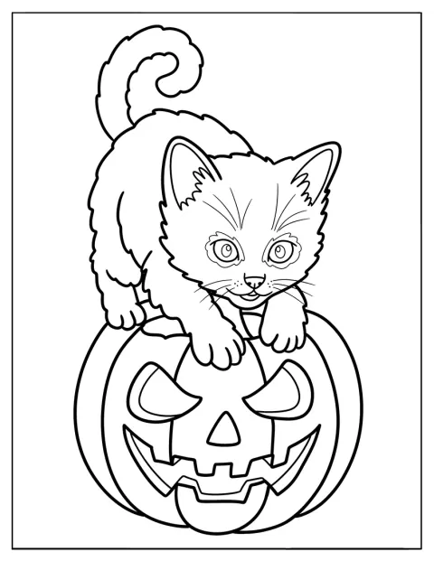Un gatito trepa por una calabaza de Halloween.