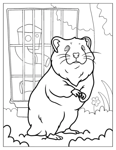 Een gedetailleerde tekening toont een hamster die rechtop staat.