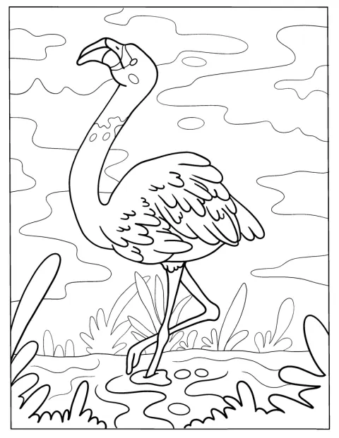 Ein Flamingo schreitet durch das Wasser.