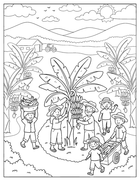 Bønder plukker bananer fra plantene på en gård.