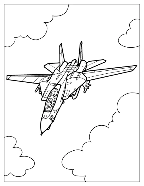 Un Grumman F-14 Tomcat aparece con sus alas de geometría variable.