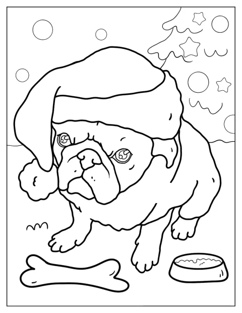 Un pug poartă o căciulă de Moș Crăciun.