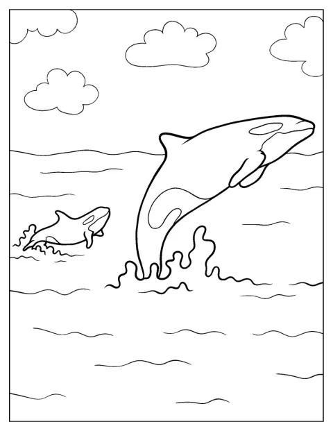 Uma orca adulta nada junto da sua cria.