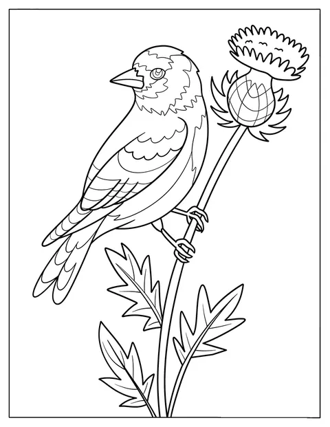 Een putter zit op een distel tussen de wilde bloemen.