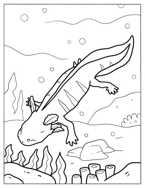 Een gestreepte axolotl zwemt richting de zeebodem.