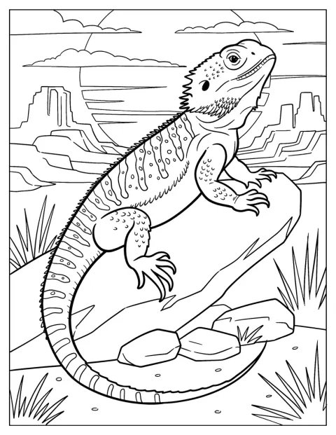 Realistic Bearded Dragon Coloring Page on a Rock in the Desert at Sunset